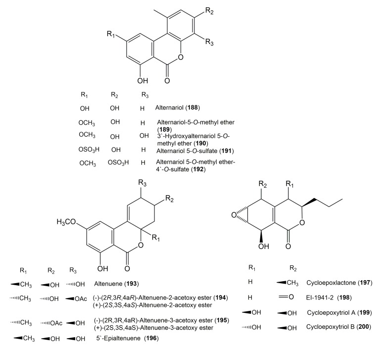 Figure 20