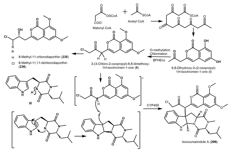 Figure 35