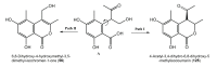 Figure 32