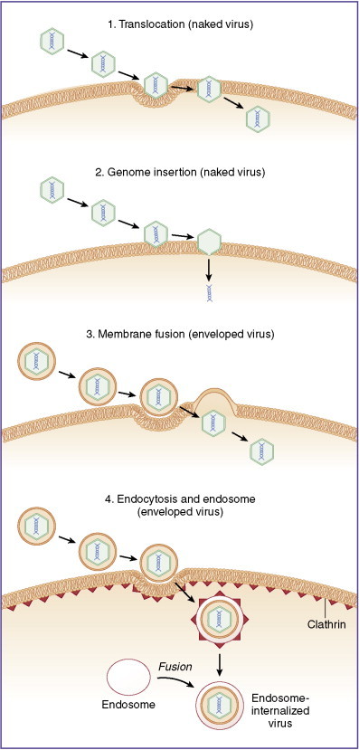 Figure 13-3