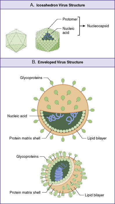 Figure 13-1