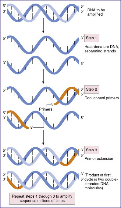 Figure 13-5