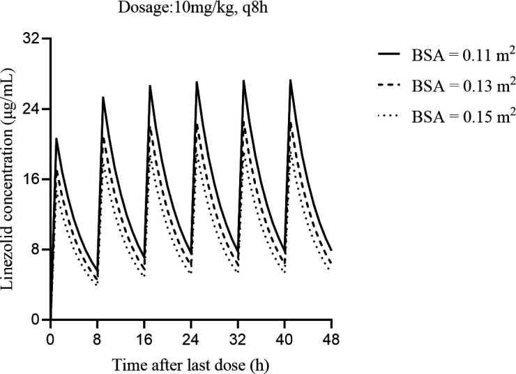 A line graph shows linezolid concentration over 48 hours after a 10 mg/kg dose every 8 hours, comparing different BSAs (0.11, 0.13, and 0.15). Peaks and troughs correspond to dose intervals, with higher concentrations for smaller BSAs.