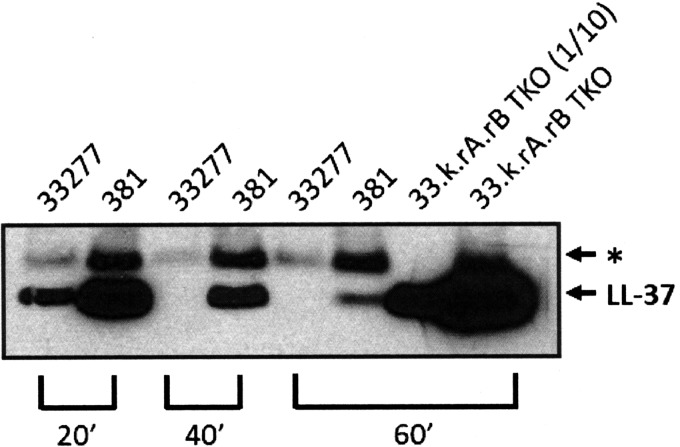 FIG 6