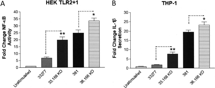 FIG 10