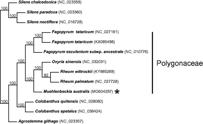 Figure 1.