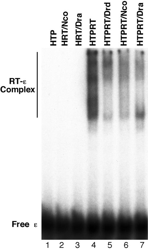 FIG. 5.