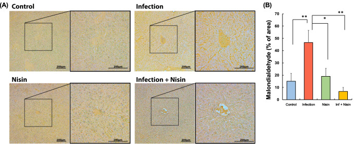 Fig. 11