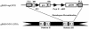 FIG. 1.