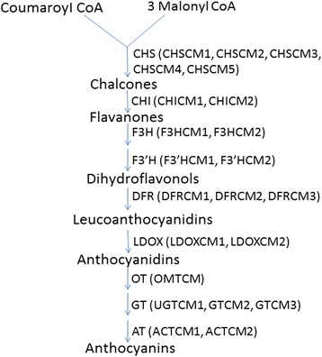 Fig. 6