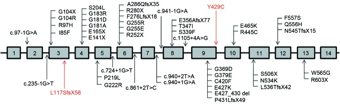 Figure 3.