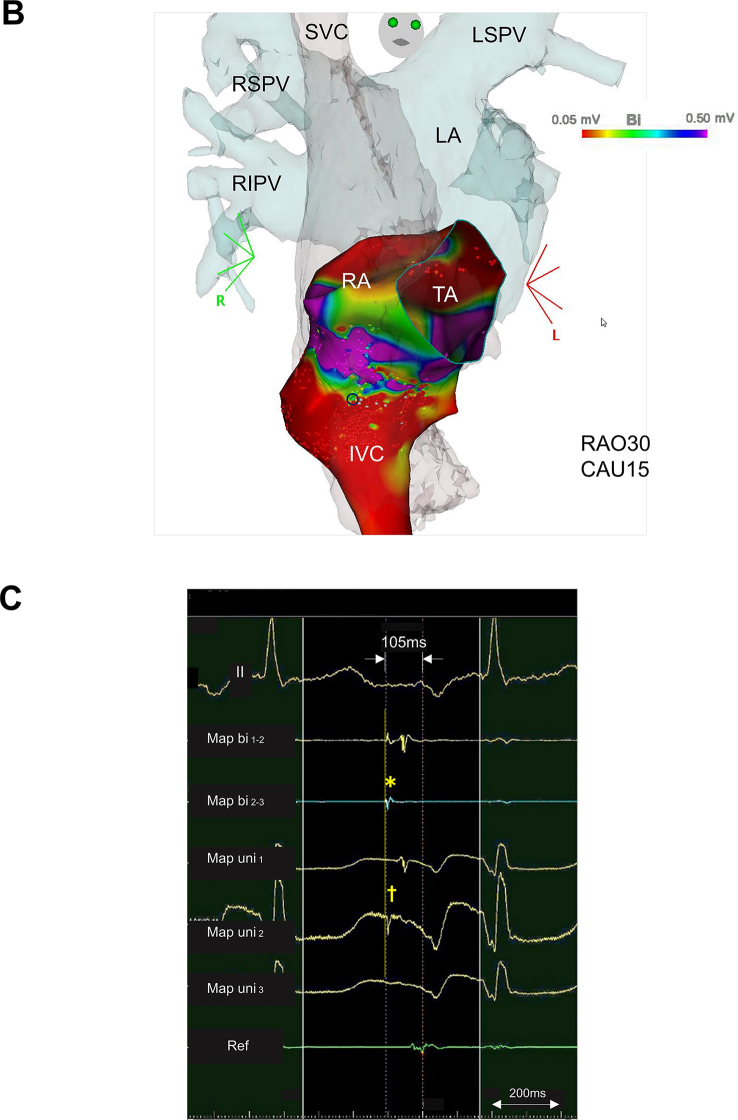 Fig. 3