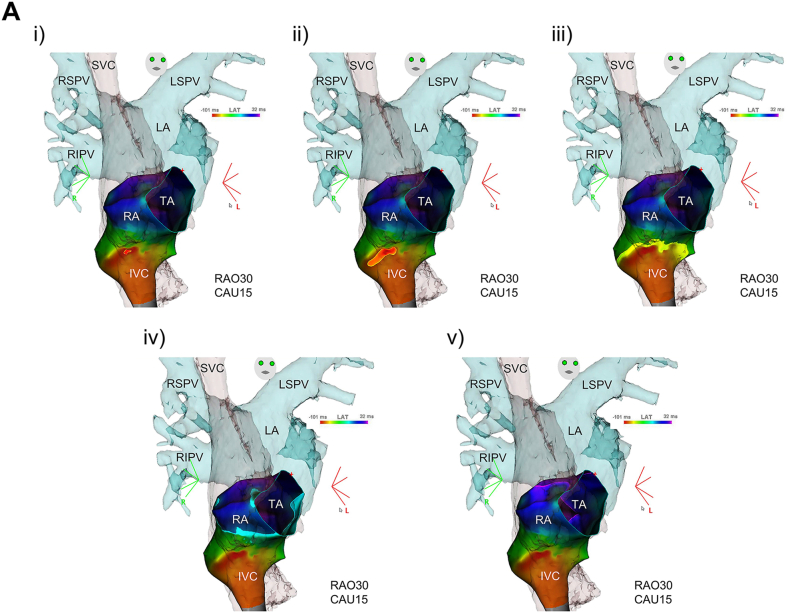 Fig. 3