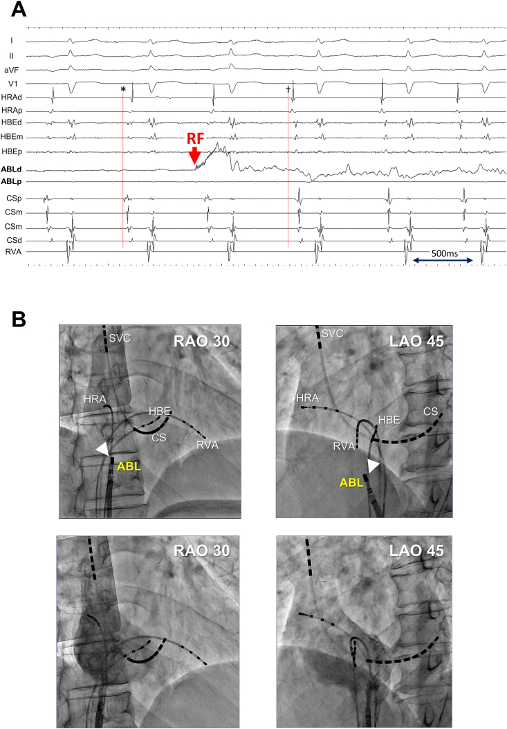 Fig. 4