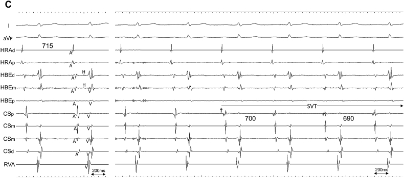 Fig. 2