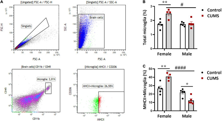 FIGURE 2