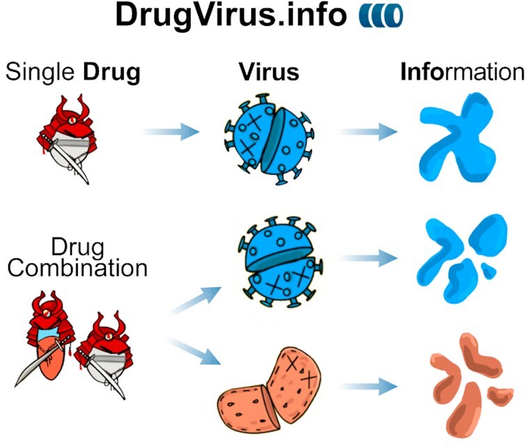 Graphical Abstract