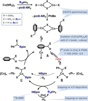 Scheme 5