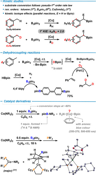 Scheme 4