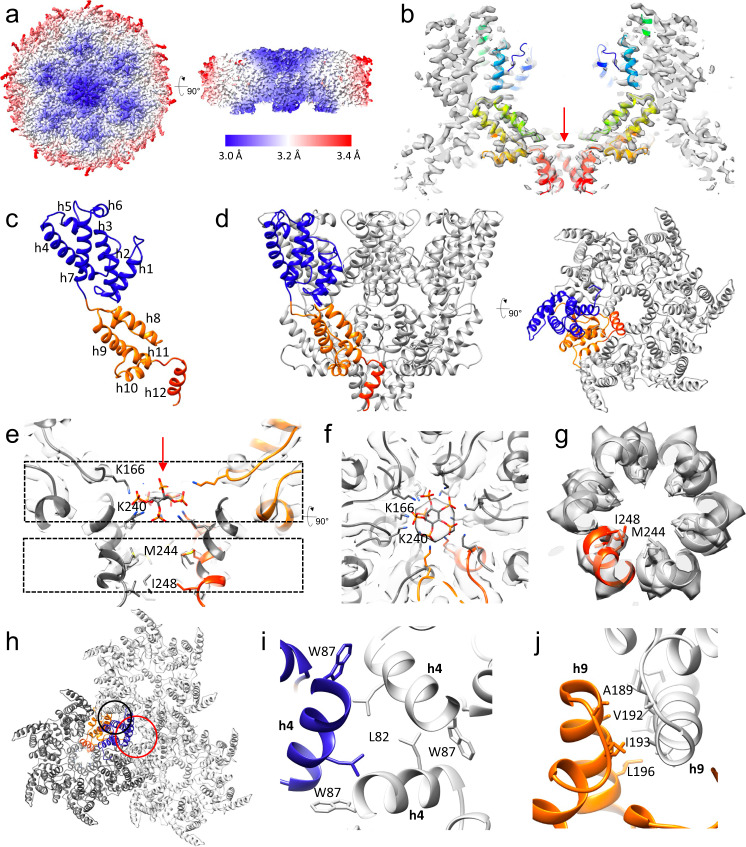 Fig. 2