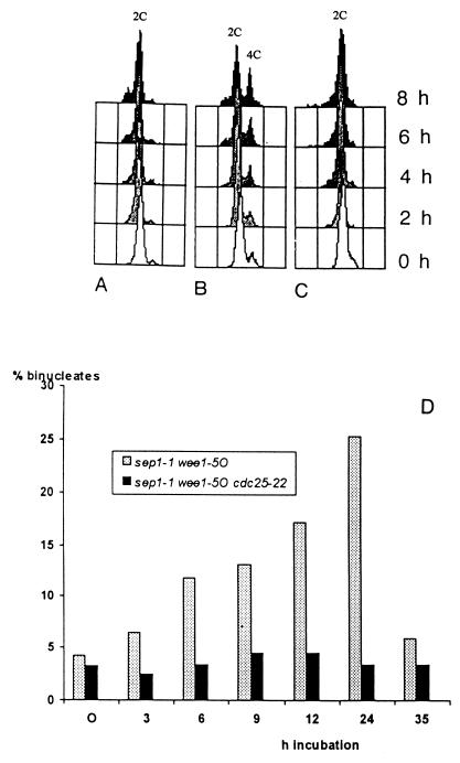 FIG. 6