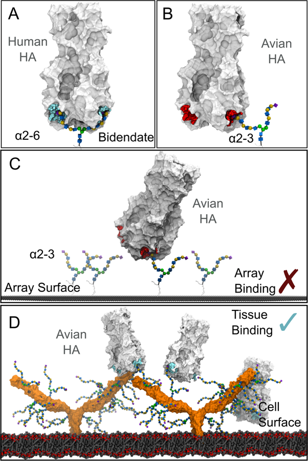 Figure 7: