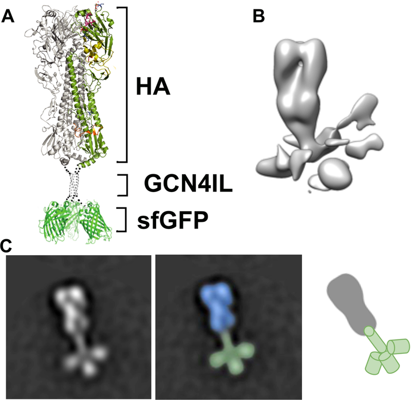 Figure 3.