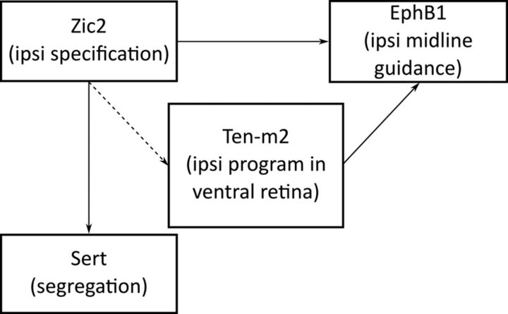 Figure 12.