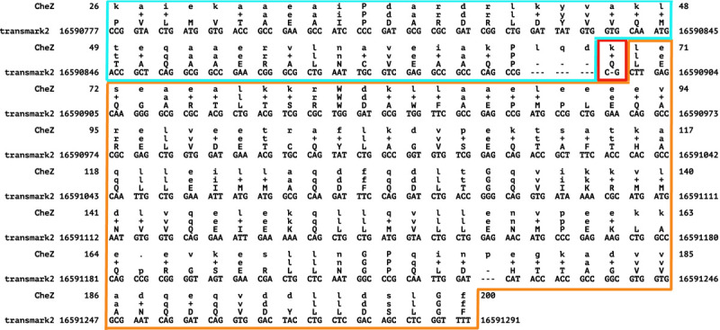 Fig. 7.