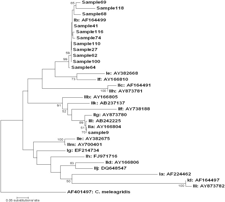 Fig 2