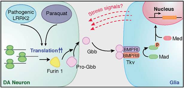 Figure 6.