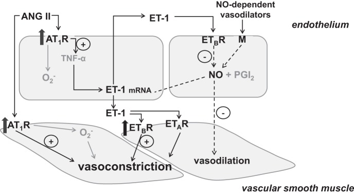 Fig. 5.