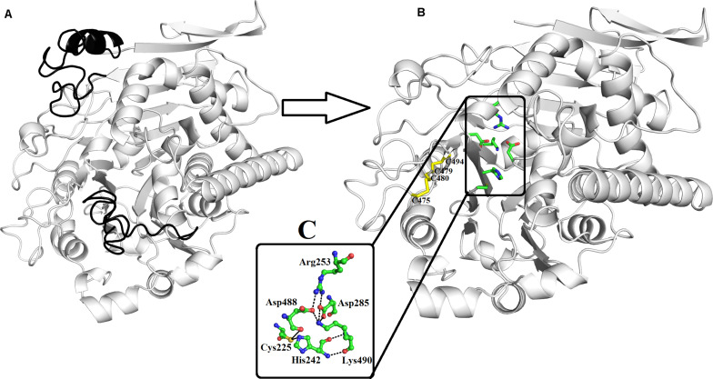 FIGURE 2