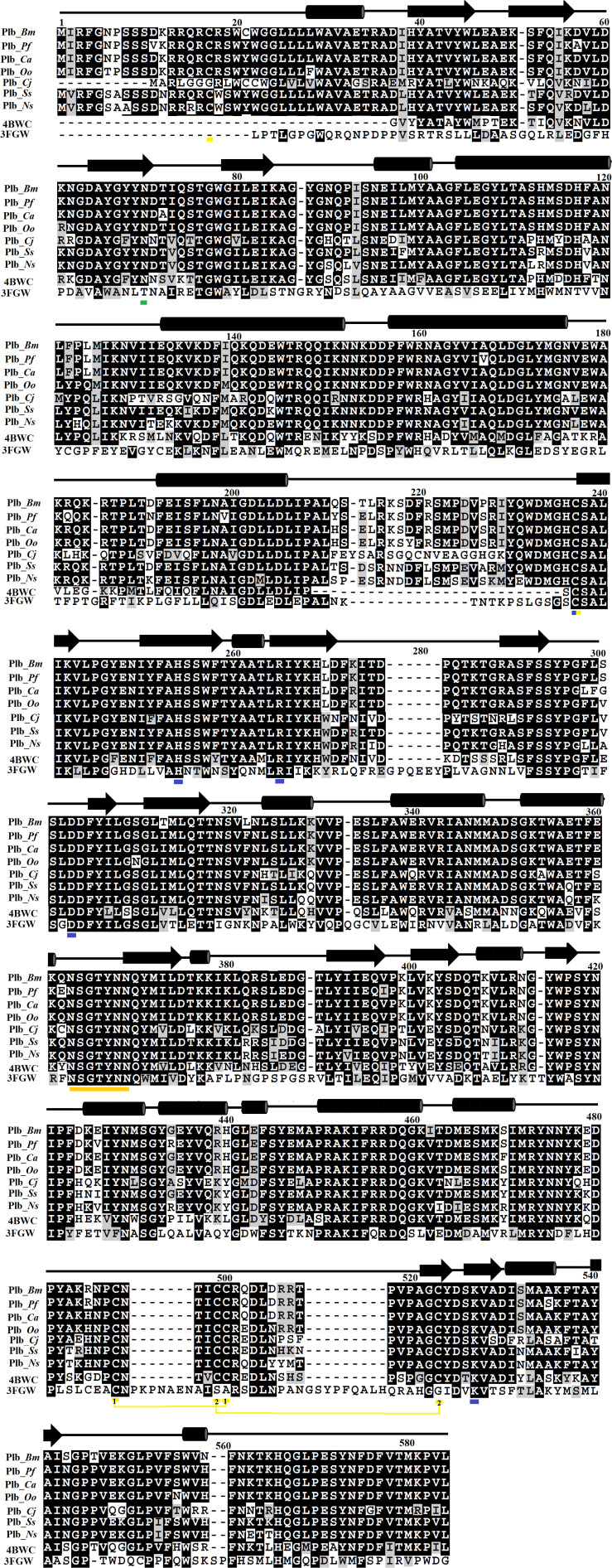 FIGURE 1