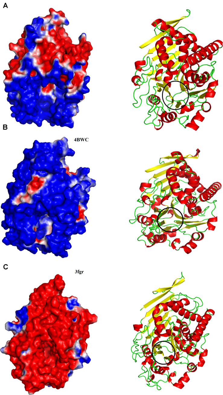 FIGURE 3