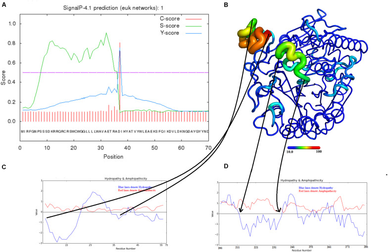 FIGURE 4