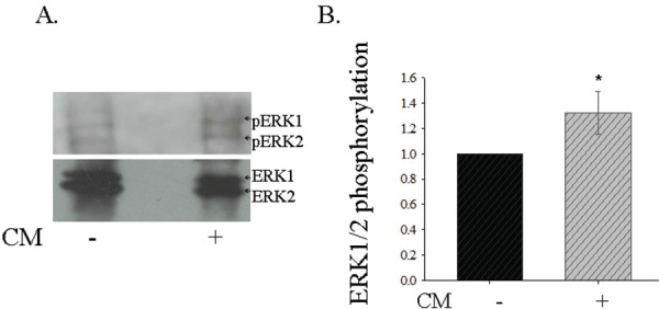 Fig. 5: