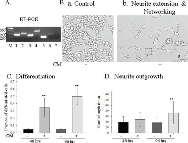 Fig. 2: