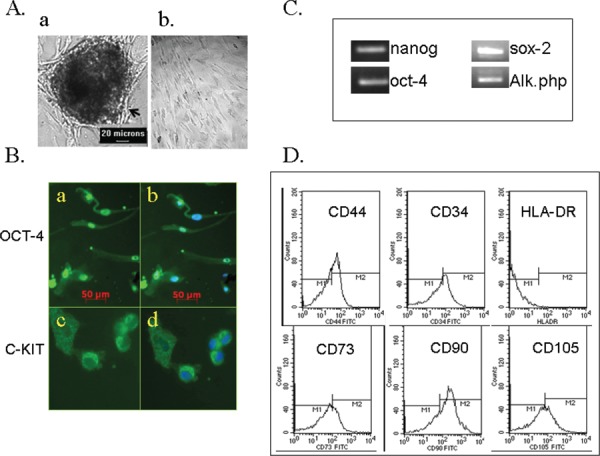 Fig. 1: