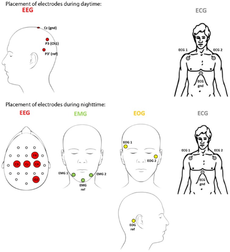 Figure 1.