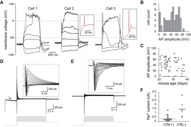 Figure 3.