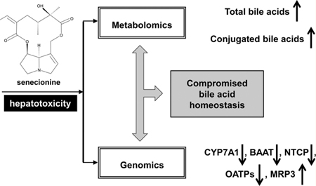 graphic file with name nihms-1583617-f0001.jpg