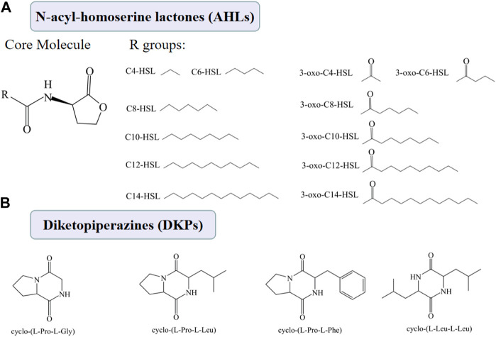 FIGURE4