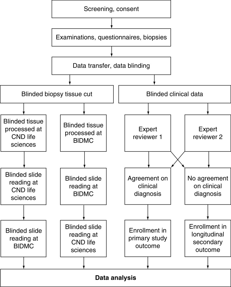 Figure 2. 