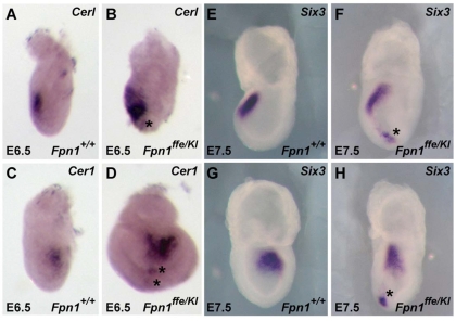 Fig. 7.