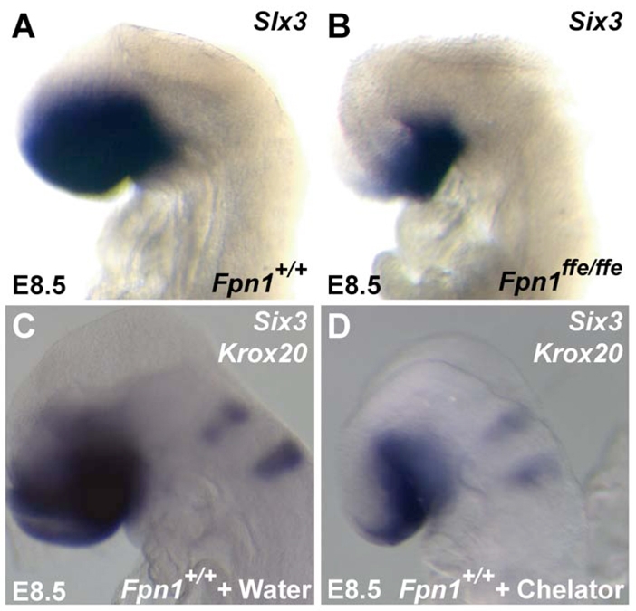 Fig. 9.