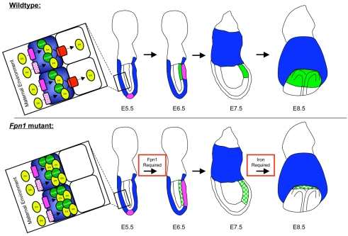 Fig. 10.