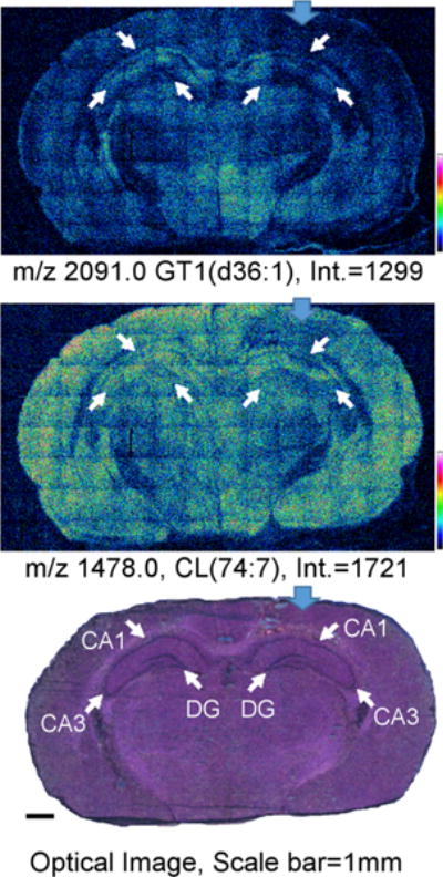 Figure 6