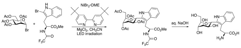 Scheme 5