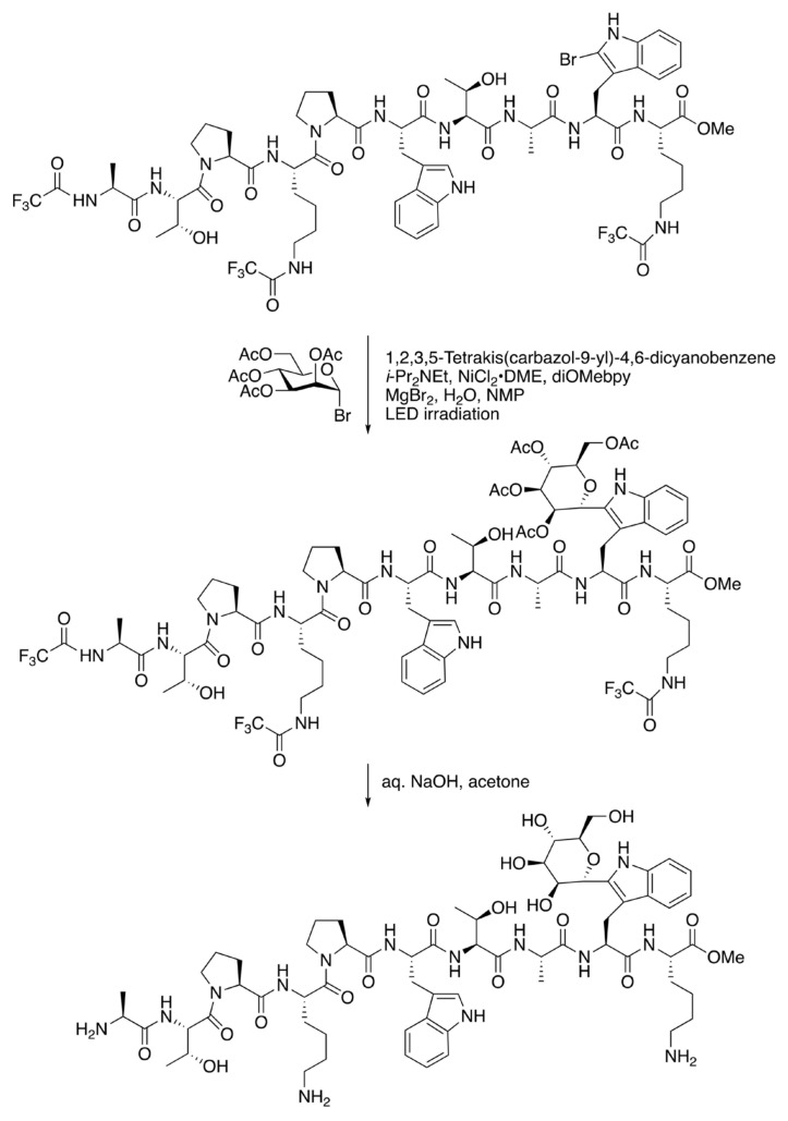 Scheme 6